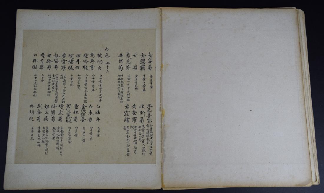 Twenty pages of Chinese calligraphy album of (1 of 11)