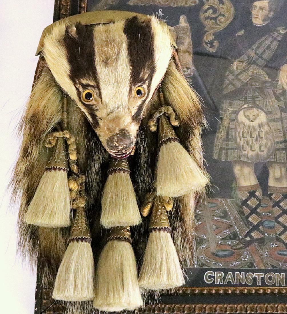 Very Cool 19th C. Scottish Officers Badger SPORRAN Belt: Very Cool 19th C. Scottish Officers Badger SPORRAN Belt Bag. Size 13 1/2" x 8"