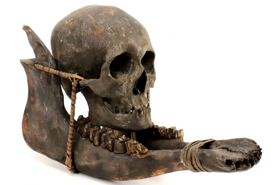 Rare Museum Display of Indonesian Dayak Headhunter: Rare Museum Display of Indonesian Dayak Headhunter's Human Skull ~ Trophy Decoration. Detailed condition reports are not included in this catalog. For additional information, including condition repor