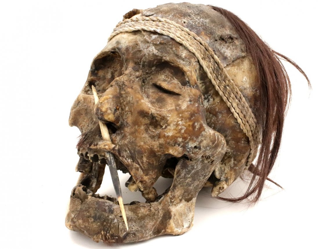 Rare Museum Display of Indonesian Dayak Headhunter: Rare Museum Display of Indonesian Dayak Headhunter's Human Skull ~ Trophy Decoration. Detailed condition reports are not included in this catalog. For additional information, including condition repor