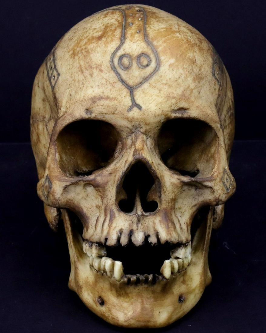 A Museum Display Model of Indonesian Borneo Island: A Museum Display Model of Indonesian Borneo Island DAYAK Tribe Headhunters Trophy Human Skull. Material is unknown. Average Human Size. --- ~~~~~~ DEAR BIDDERS, Please View More Detailed Close-Up Imag