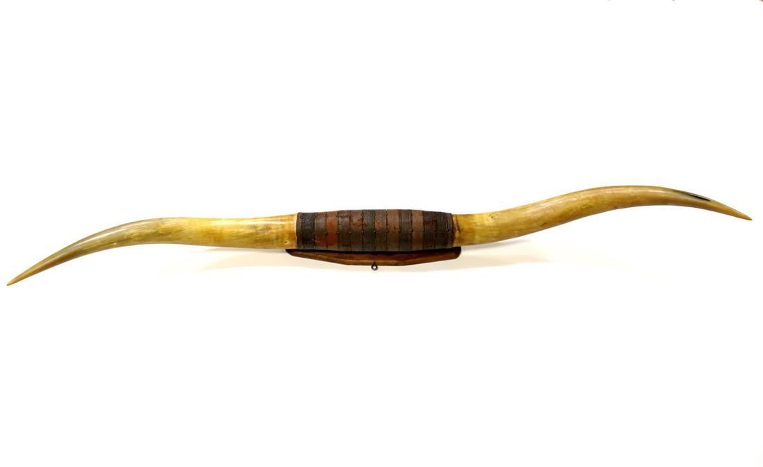 Huge Vintage Western Decor / Mounted Bull Horn (1 of 10)