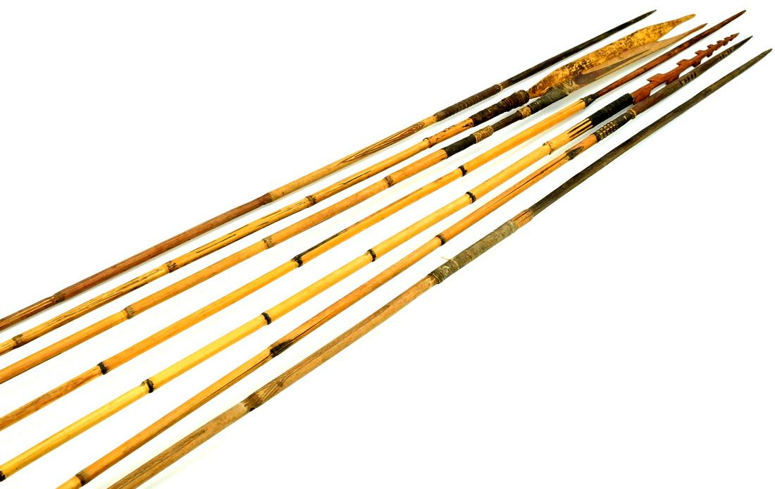 Lot of 7 Antique Asian Indonesian Hunting Fishing Spears with Wood Tips & Bamboo Shafts. (1 of 12)