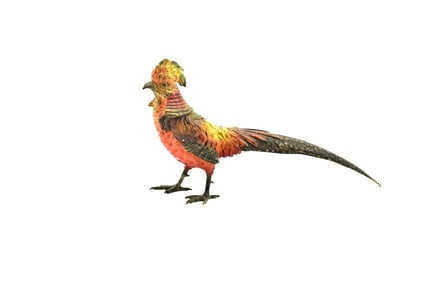 Vienna Cold Painted Bronze Golden Pheasant Sculpture