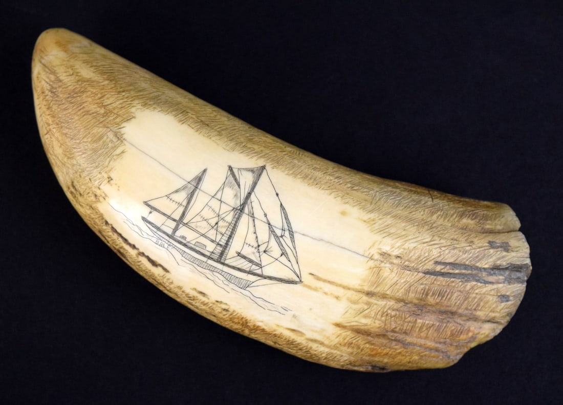Nice Antique Whale Tooth with Scrimshaw of Sail Boat Signed BALE.: Nice Antique Whale Tooth with Scrimshaw of Sail Boat Signed BALE. Size: 6 1/2" x 2 1/2". This lot ships ONLY within the USA, except CA and NJ. No international shipping. Detailed condition reports are
