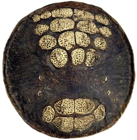 Wonderful and Unique 18th-19th C. Islamic Arabic Arabian Arab Warriors Large Hide Battle Shield