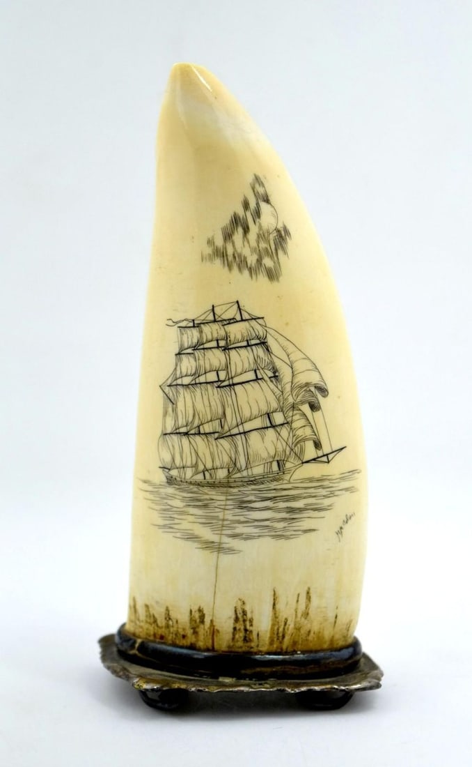 Sailing Ship Scrimshaw On Whale Tooth (1 of 8)