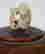 item-43354615=2
