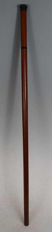 Antique Walking Cane with Whisky Bottle (1 of 5)