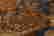 item-53472279=7