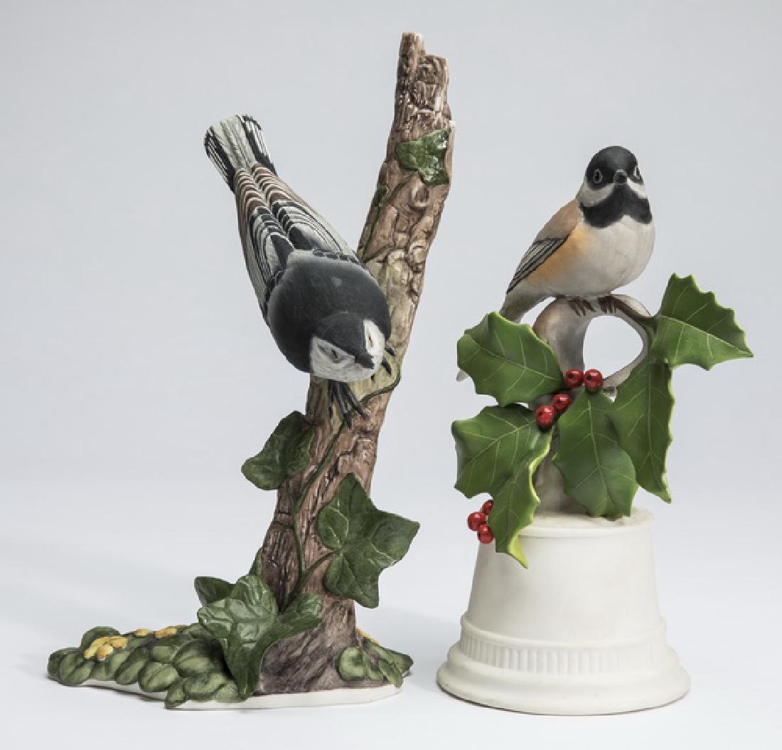 Boehm nuthatch & black-capped chickadee (1 of 3)