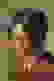 item-57721231=2