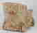 item-61350013=2