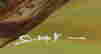 item-62709581=4