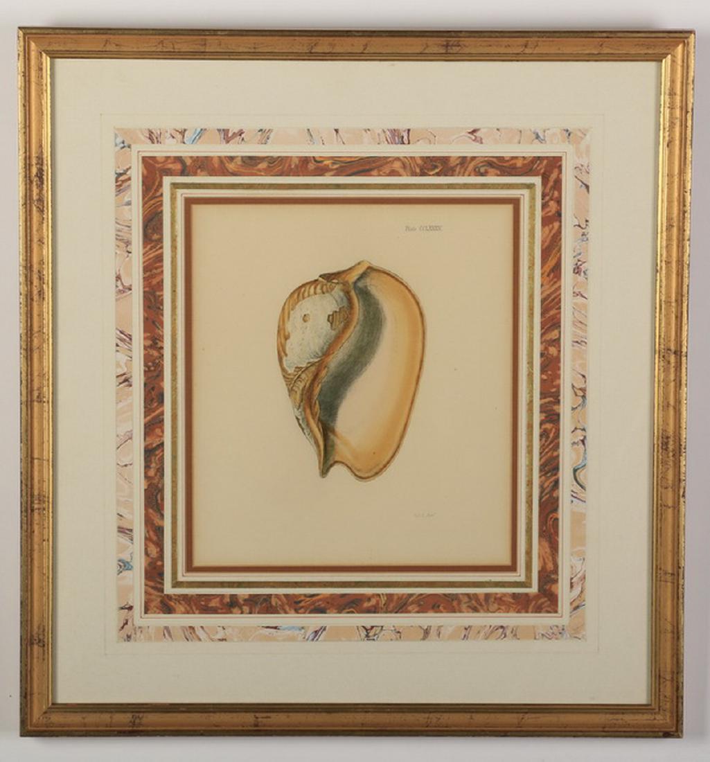 Early 20th c. hand colored engraving (1 of 2)