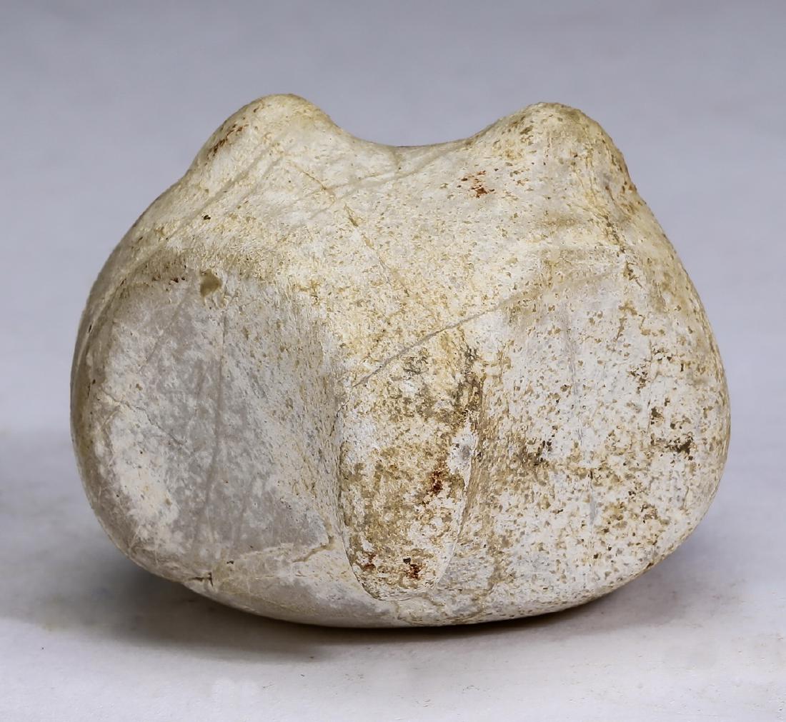 Pre-Columbian zoomorphic stone mace head, 2"h (1 of 4)