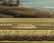 19th c. English O/panel of boats along the shore - 4