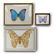 (3) Vintage framed butterfly and moth specimens