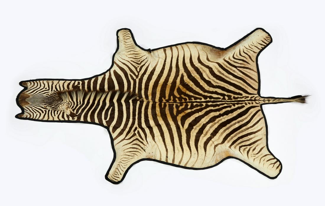 Vintage full zebra hide rug, 114"l (1 of 4)