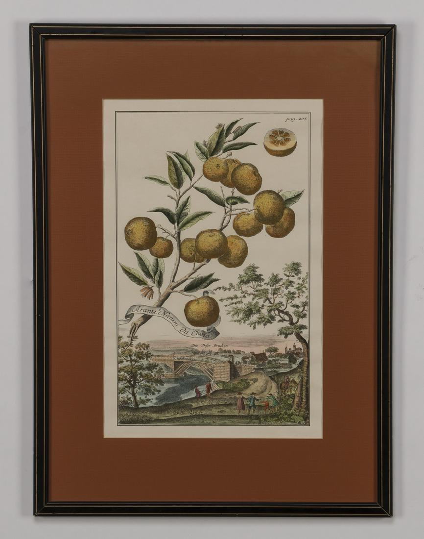(5) 19th c. hand colored engravings, matted & framed (1 of 10)
