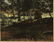 Thomas Ireland signed O/c forest landscape, 1879 - 2