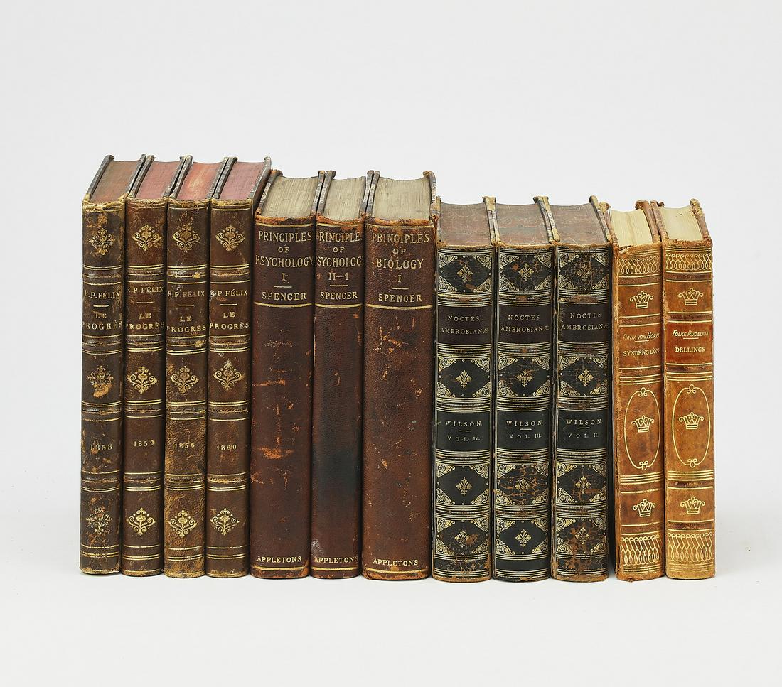 (12) 19th and 20th c. books with decorative spines (1 of 1)