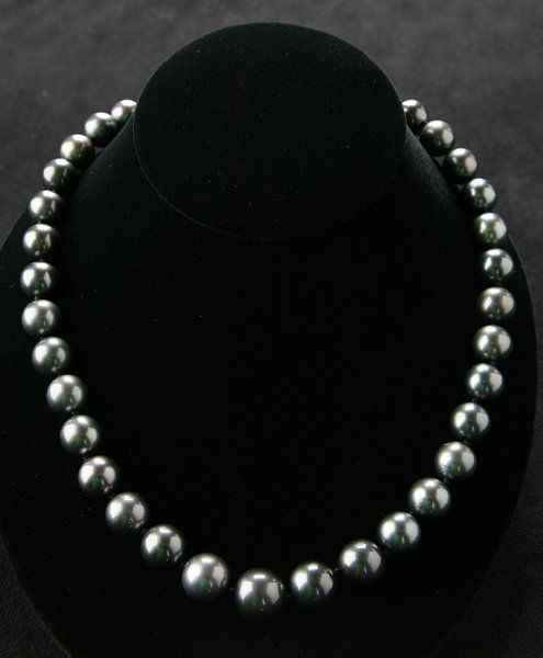 Black South Sea Tahitian pearl necklace: Black South Sea Tahitian pearl necklace with 14kt gold clasp.