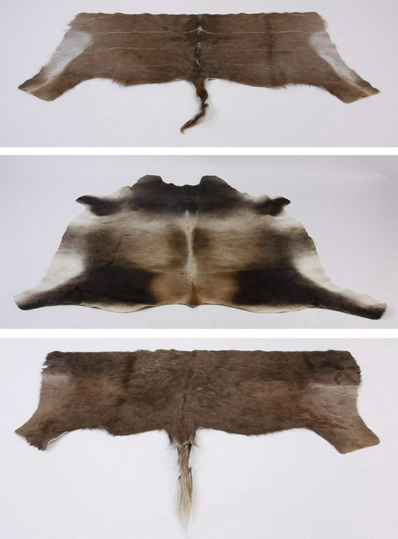 Group of (3) African game hide rugs, including Kudu (1 of 7)