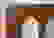 item-102376441=3