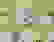 item-105097012=3
