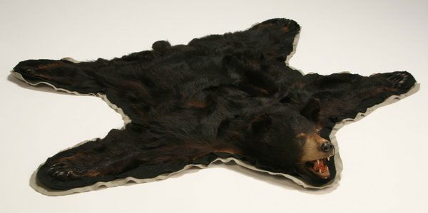 Vintage black bear skin rug: Vintage black bear skin rug, circa 1940's, 60"l.
