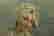 item-108703432=3