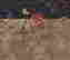 item-108704341=6