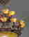 item-108704573=3