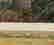 item-108704604=3