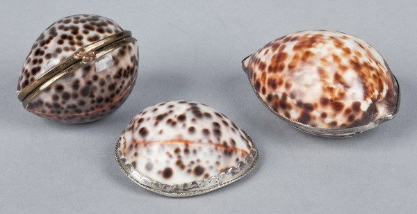 (3) 19th c. Victorian seashell snuff boxes: Three late 19th century Victorian seashell snuff boxes ranging in length from 2.5" to 3.5", includes (1) hinged double-shell box; (1) silver mounted monogrammed snuff box; (1) silver mounted double co