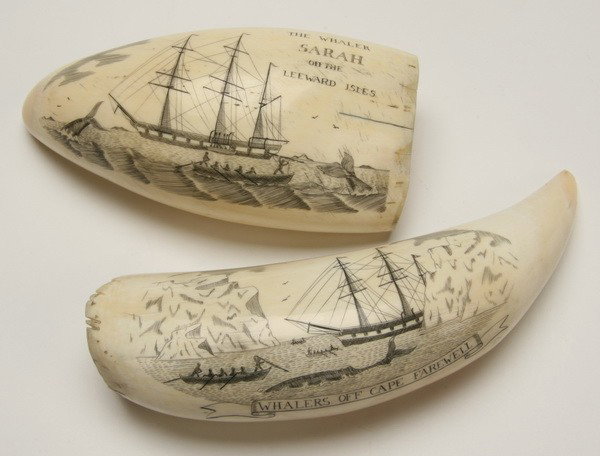 Pair of 19th c. whale tooth scrimshaw: Pair of 19th century English whale tooth scrimshaw, one enscribed "The Whaler SARAH off the Leeward Isles", 5"l and the other "Whalers off Cape Farewell", 6"l.