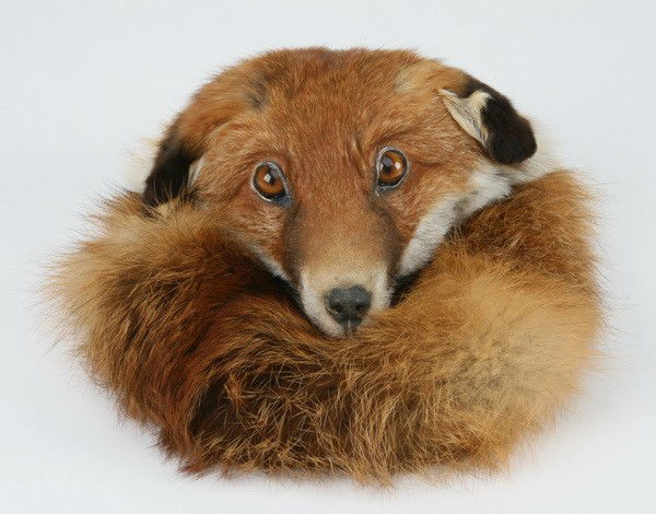 Fox fur and leather purse: Fox fur and leather purse with a loop on the back that allows it to be worn at the waist, maker marked "Hand Made by Janet Eagleton, Scotland", 10"h x 8"w.
