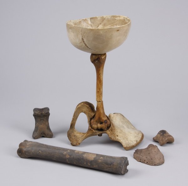 Bone chalice with fossilized bones: Mid 20th century bone chalice along with a group of fossilized bones, the chalice formed of a cranium and pelvic bone, dated "13.11.1948" and inscribed in Latin, "Carissimo bibulo in memoriam diei / p