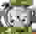 item-30593163=3
