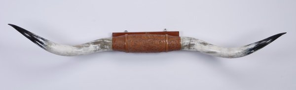 Texas Longhorn antler mount, 81"w (1 of 4)