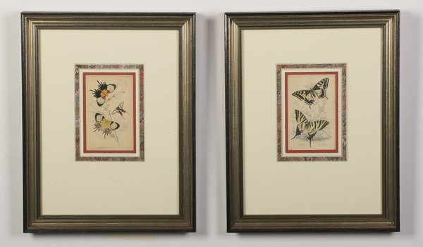 (2) 19th c. hand colored butterfly engravings (1 of 3)