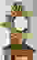 item-41641331=2