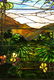 Stained glass window, attr. to Lamb Studios - 8