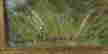 item-47146725=3