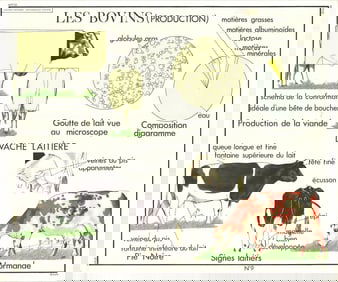 Emile Deyrolle - Le Bovins (Production) - 1960 Offset Lithograph 29.5" x 35.5"