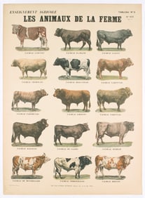 Emile Deyrolle - Les Animaux de la Ferme-Les Taureaux - 1940 Lithograph 31" x 23.5"