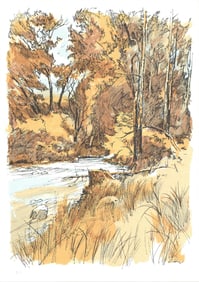 Laurie Kidder - Forest Scene - 1975 Lithograph 23.75" x 17.25"