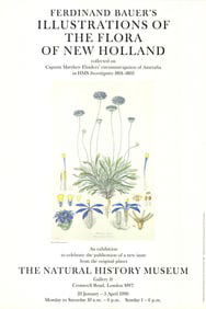 Ferdinand Bauer - Illustrations of the Flora of New Holland - 1990 Offset Lithograph 30" x 20"