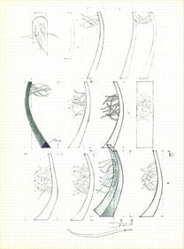 Alain Le Yaouanc - Study VI - 1970 Lithograph 15" x 11"